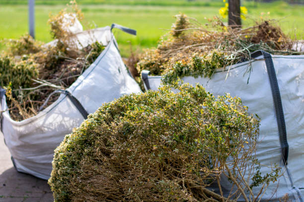 Best Yard Cleanup Services  in Paducah, KY